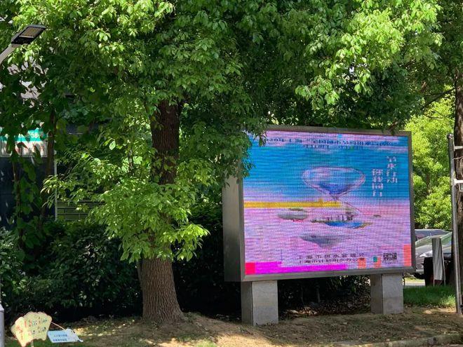 杨浦滨江雨水花园是非常规水资源,海绵城市建设的试点项目